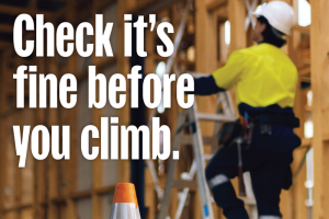 Check it's fine before you climb 1398916