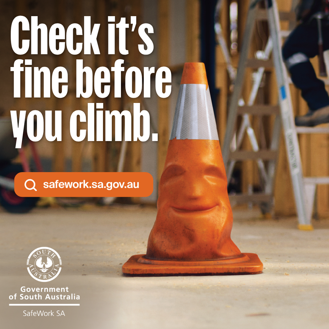 Check it's fine before you climb Falls