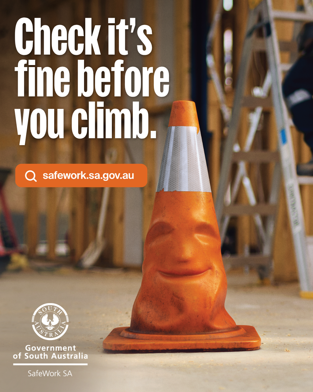 Check it's fine before you climb Falls