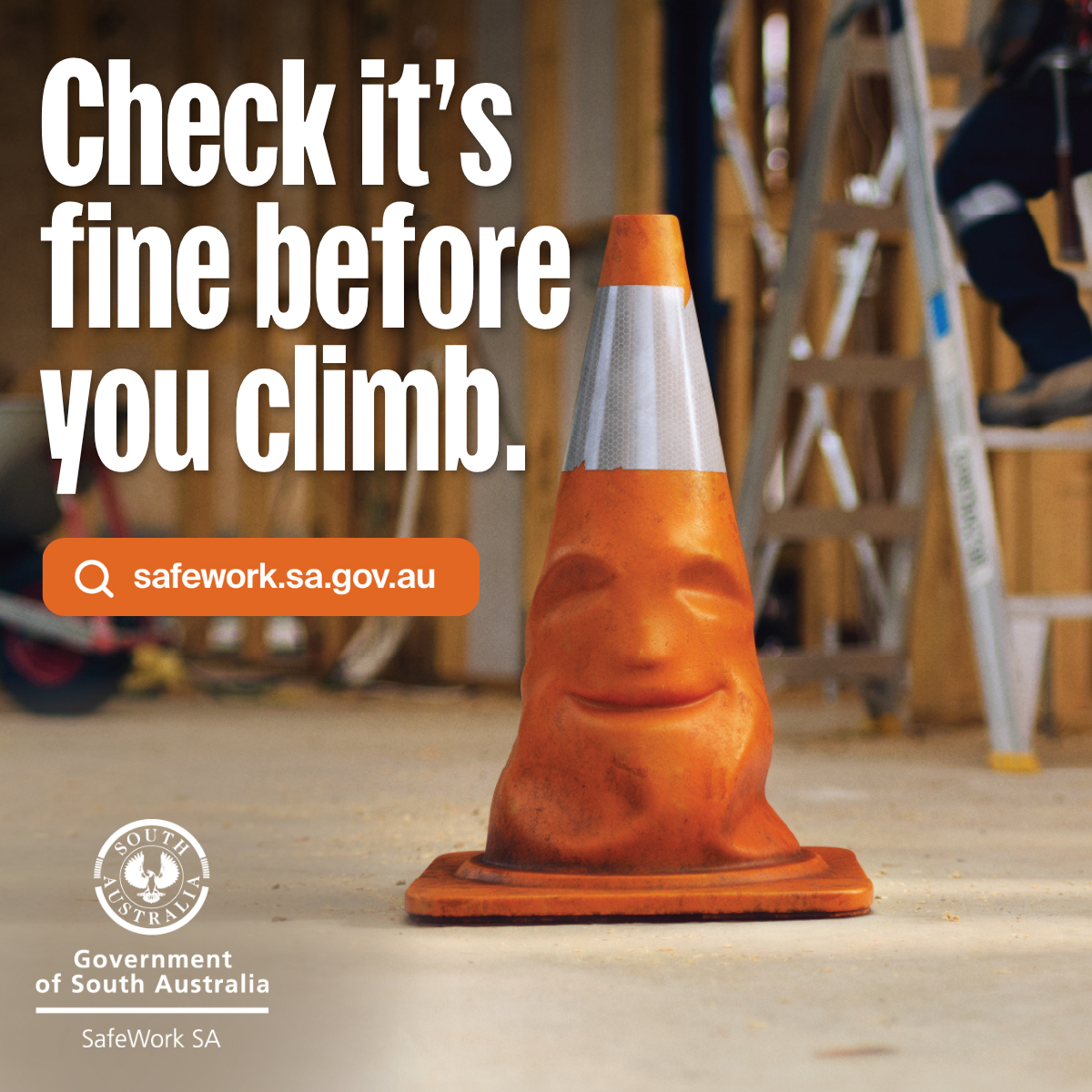 Check it's fine before you climb Falls